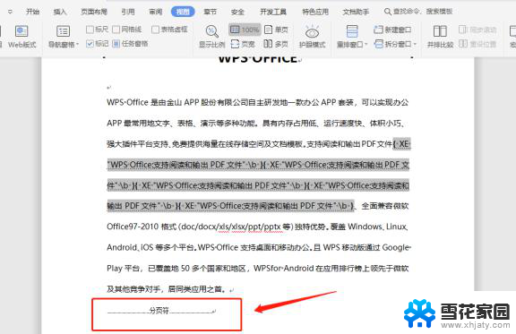 wps如何显示文档分页符 wps文档如何显示分页符