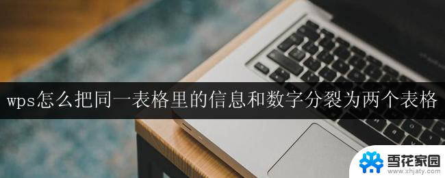 wps表格中将同一表格的信息和数字分割为两个表格的方法