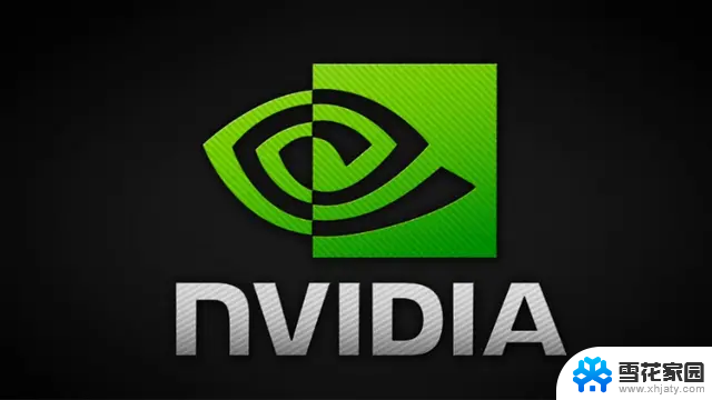 英伟达显卡（NVIDIA）和AMD显卡的性能对比及选购指南