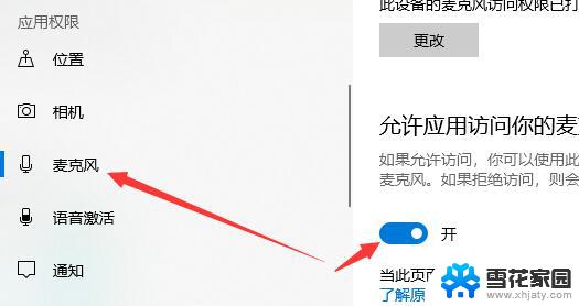 戴尔电脑无法找到输入设备 Win10电脑麦克风无法使用怎么办