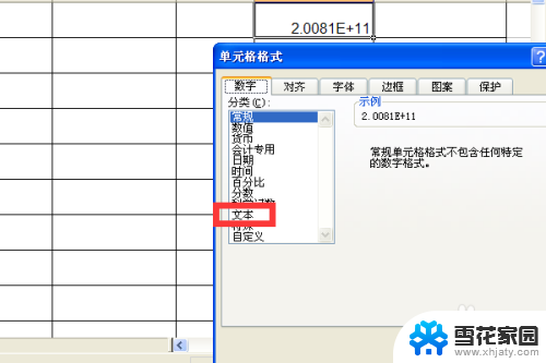 excel数字变成了e+11怎么办 Excel中数字变成E 11的解决方法