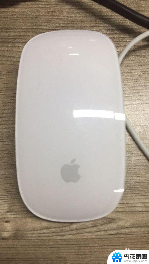 苹果电脑如何安装鼠标 苹果电脑鼠标无法连接