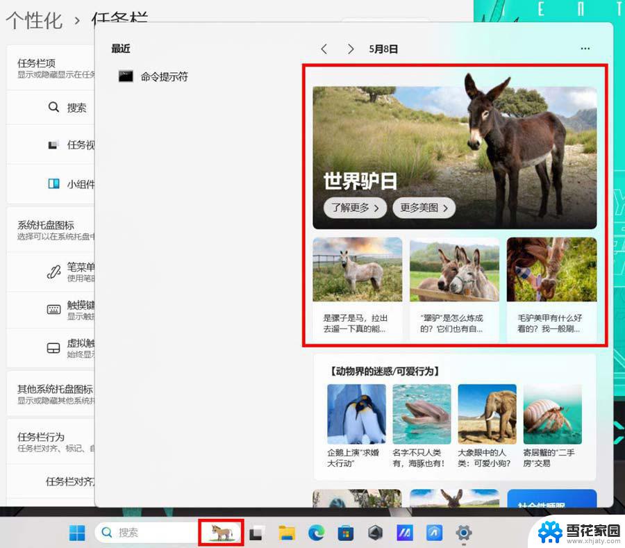 win11设置最佳属性 Win11新机开荒必修改的默认设置