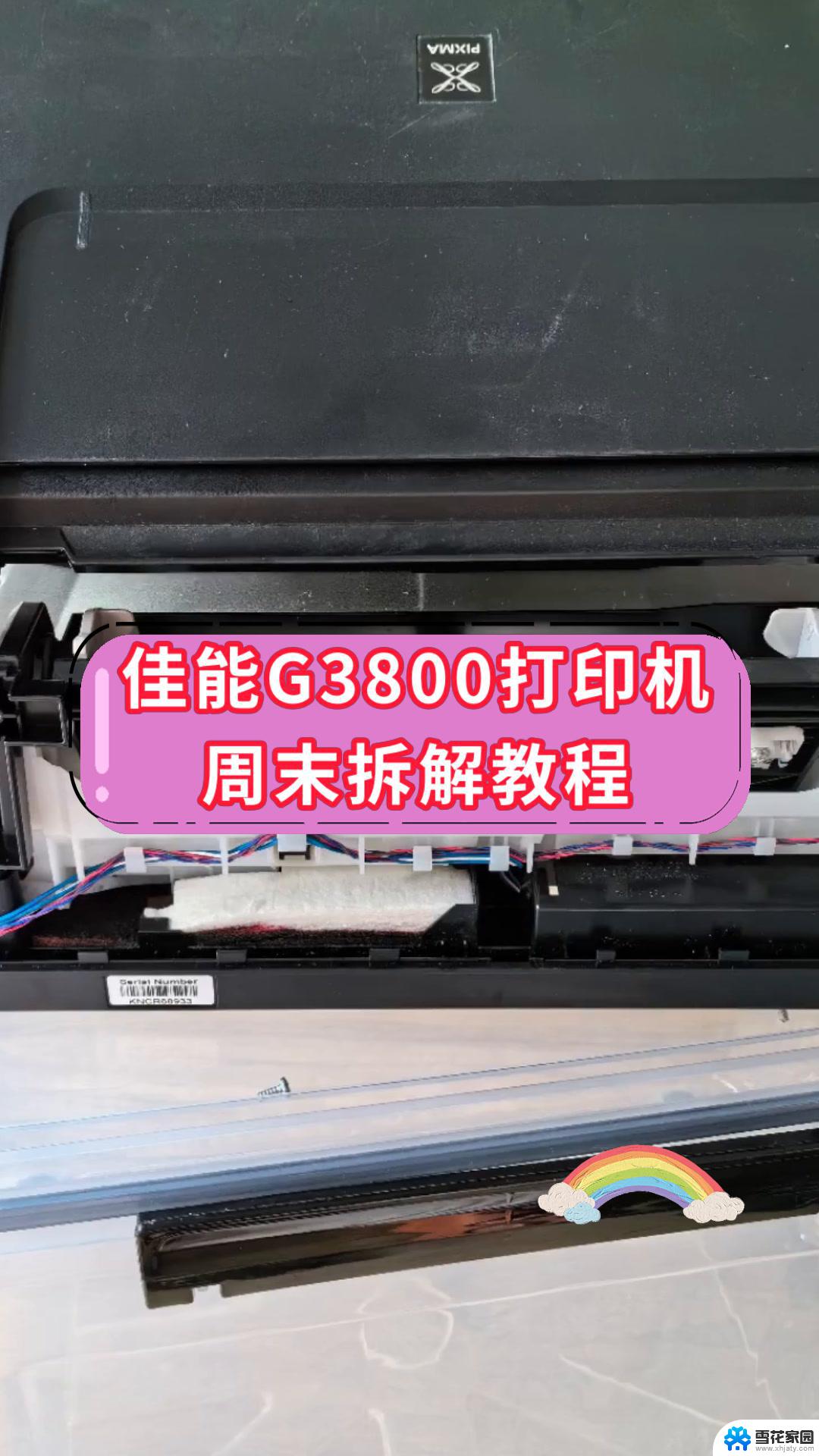 佳能3800打印机怎么安装 佳能g3800打印机驱动安装步骤