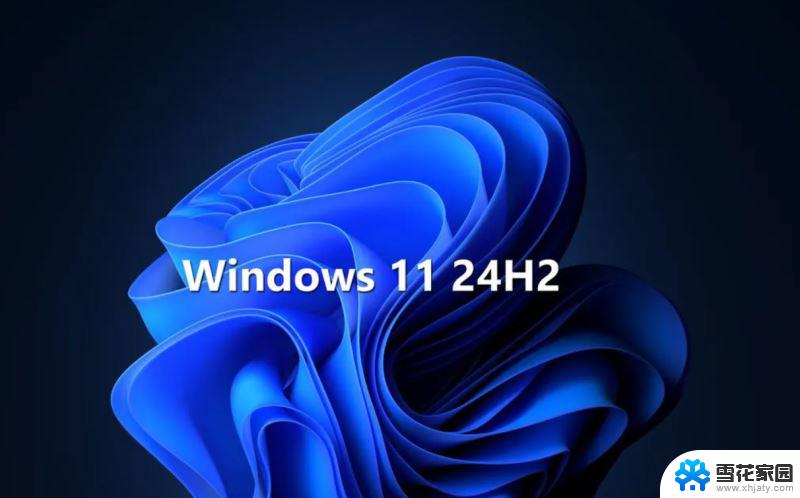 已经装了win11了还显示不满足系统要求 Win11 24H2 安装 9 月更新出现不支持操作错误