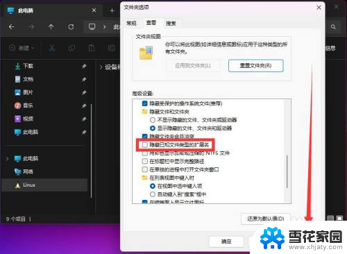 win11如何打开文件后缀名 Win11文件类型后缀名怎么显示