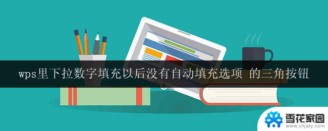 wps里下拉数字填充以后没有自动填充选项 的三角按钮 wps填充数字无自动选项