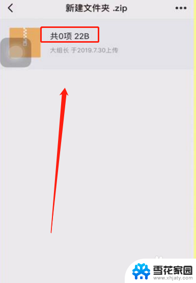 苹果手机打开rar文件 iPhone怎么打开rar文件