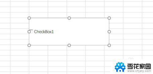 excel中加入勾选框 Excel中如何插入可打勾的方框