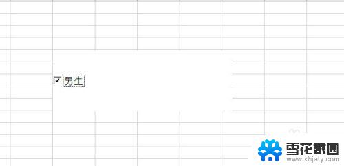 excel中加入勾选框 Excel中如何插入可打勾的方框