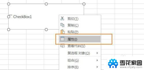 excel中加入勾选框 Excel中如何插入可打勾的方框