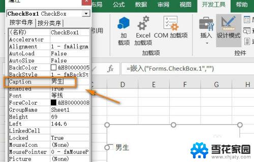 excel中加入勾选框 Excel中如何插入可打勾的方框