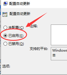 电脑键盘一直自动输入 Win10键盘自动输入文字