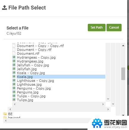为什么你的精美网页设计在Windows上变成了灾难？