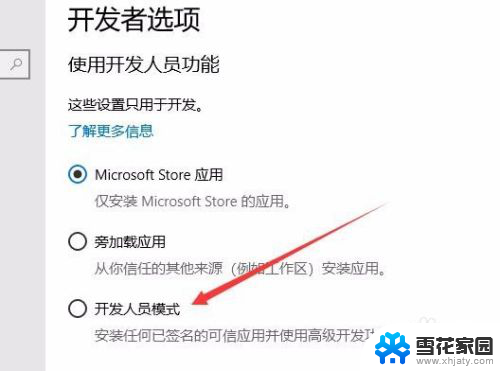 win10怎么打开开发者模式 win10如何打开开发者选项启用开发人员模式