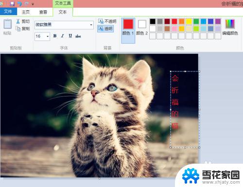 windows系统是否自带p s软件 如何使用Windows自带的画图软件编辑PS图片
