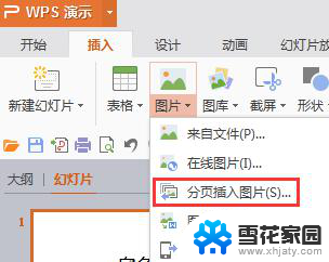 wps怎么把插入图片应用于当前页 wps如何将插入图片应用于当前页