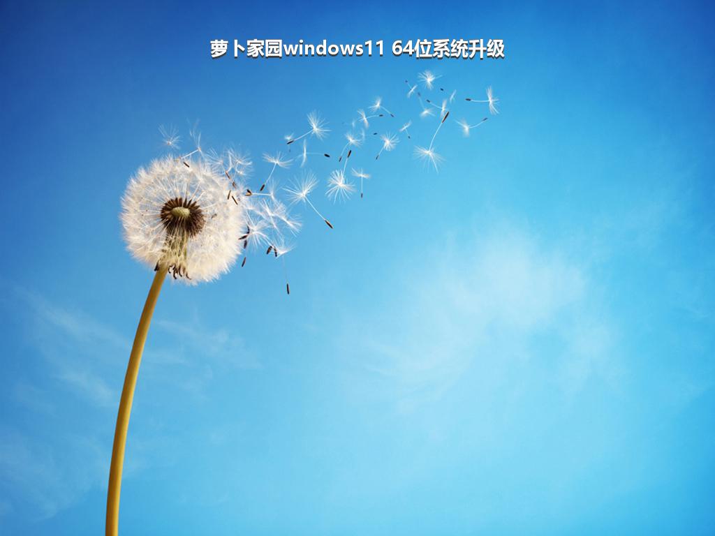 萝卜家园windows11 64位系统升级