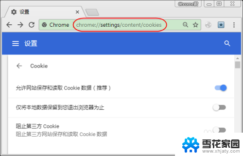 cookie文件怎么打开 Chrome浏览器如何查看历史记录