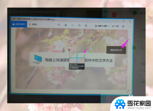 如何用电脑提取图片上的文字 如何在电脑上快速提取复制图片中的文字