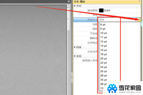 pdf文件能修改字体大小吗 PDF文件中字体大小修改方法