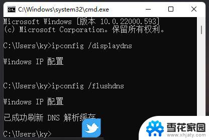 win11专业版无法联网 Win11安装后无法连接网络怎么办