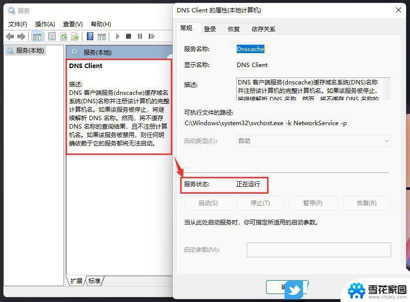 win11专业版无法联网 Win11安装后无法连接网络怎么办