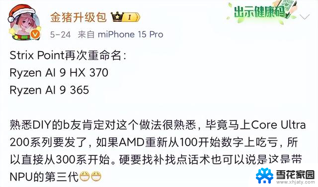 AMD锐龙AI 300系列即将发布：下一代移动处理器蓄势待发