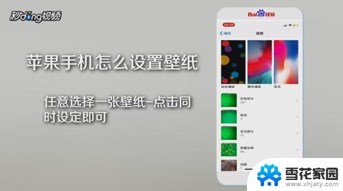 apple怎么设置壁纸 苹果手机壁纸设置步骤